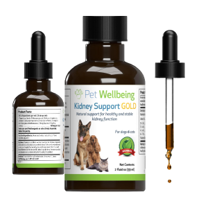 Pet Wellbeing Kidney Support Gold for Dogs